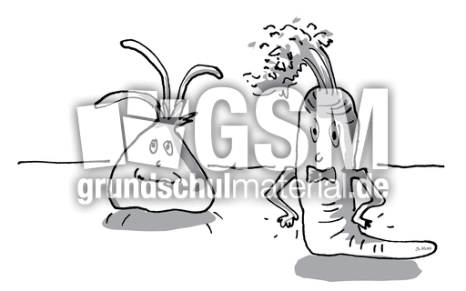 Karotte und Zwiebel 17.jpg